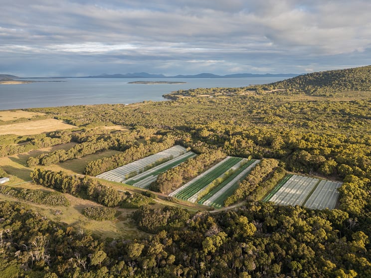 8 Badger Corner Road Lady Barron TAS 7255 - Image 1