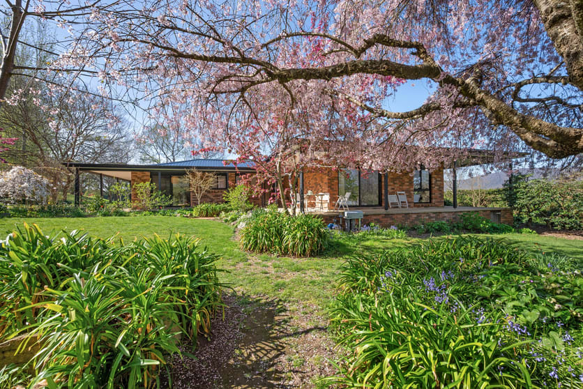 988 Charleys Forest Road Braidwood NSW 2622 - Image 1