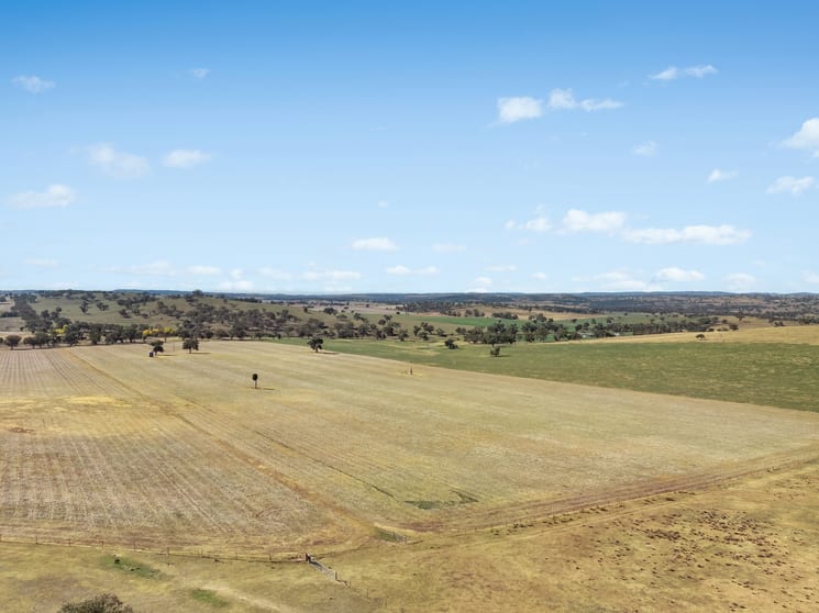 Click to view all images - Coates Creek Road Manildra NSW 2865 - Image 2
