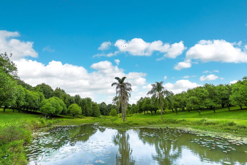 Click to view all images 71 Willis Road Tregeagle NSW 2480 - Image 3