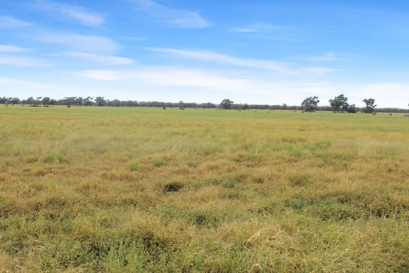 Amaroo Drive Moree NSW 2400 - Image 2