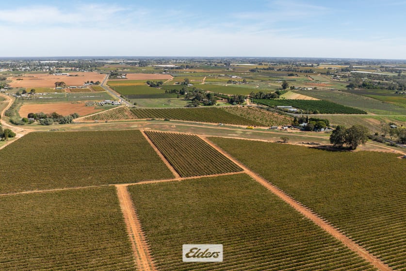 51B Pumps Road Red Cliffs VIC 3496 - Image 3