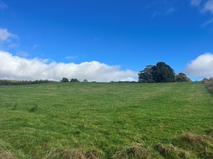Click to view all images 56 Smarts Road Mount Hicks TAS 7325 - Image 1