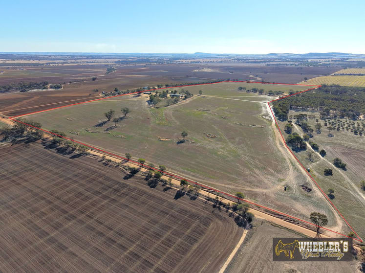 325 Rickeys Road (East Beverley) Beverley WA 6304 - Image 3