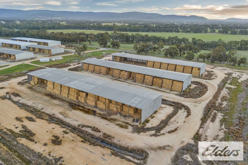 Click to view all images 102 Avoca - Bealiba Road Avoca VIC 3467 - Image 1