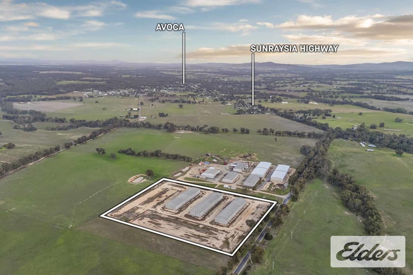 Click to view all images 102 Avoca - Bealiba Road Avoca VIC 3467 - Image 3