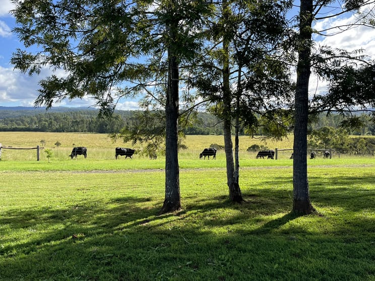 Click to view all images Old Tenterfield Road via Wyan NSW 2469 - Image 3