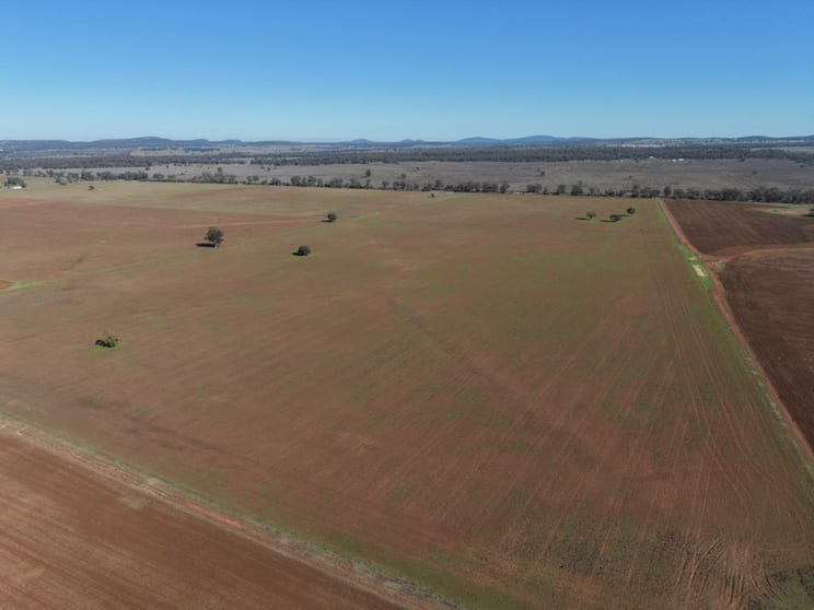 366 Mercadool Lane Bogan Gate NSW 2876 - Image 2