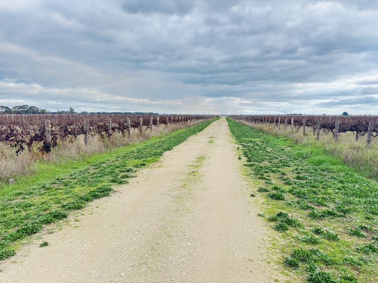 Lot 2/322 Giles Rd Coonawarra SA 5263 - Image 1