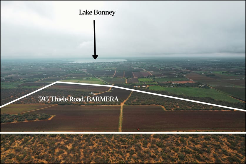 Click to view all images 393 Thiele Road Loveday SA 5345 - Image 1