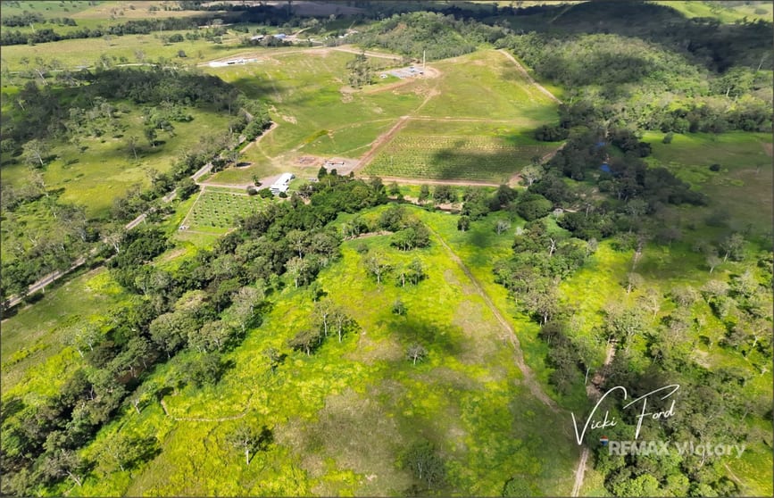 Click to view all images 114 East Funnel Creek Road Sarina Range QLD 4737 - Image 1