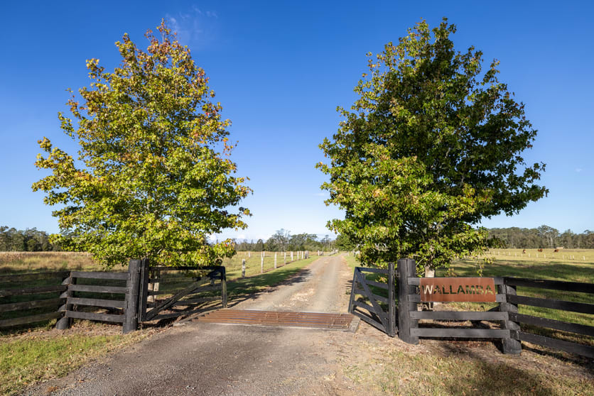 14112 Pacific Highway Nabiac NSW 2312 - Image 3