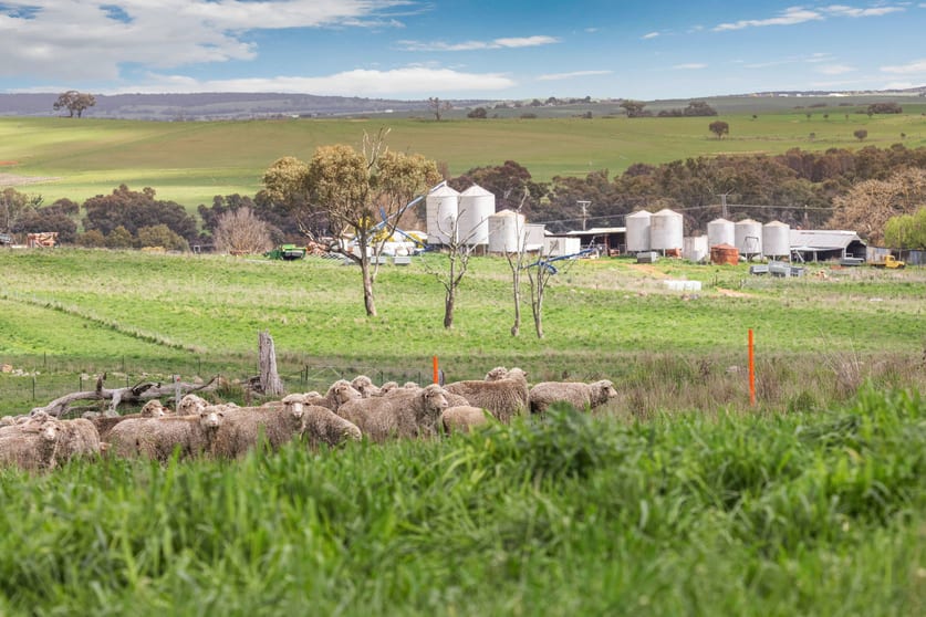 Click to view all images "Reynoldsdale", 1056 Lachlan Valley Way Boorowa NSW 2586 - Image 3