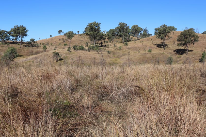 Click to view all images 'Chapmans' Monto Mount Perry Road Mount Perry QLD 4671 - Image 2