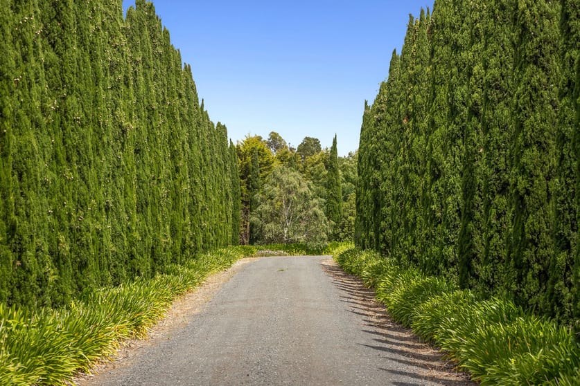 Click to view all images 1619 Meredith - Shelford Road Meredith VIC 3333 - Image 3