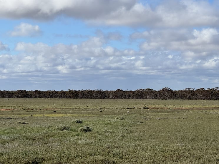 Section 93 Foote Road Brownlow SA 5374 - Image 3