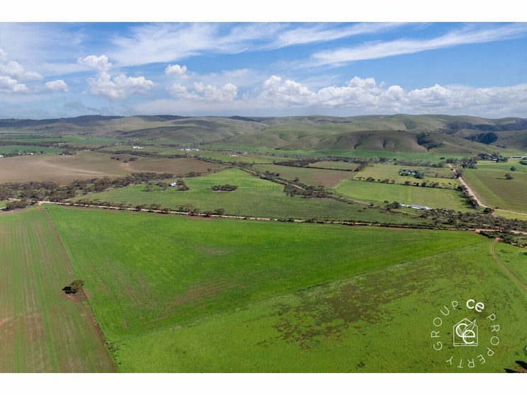 463/ Moody Road Cambrai SA 5353 - Image 3