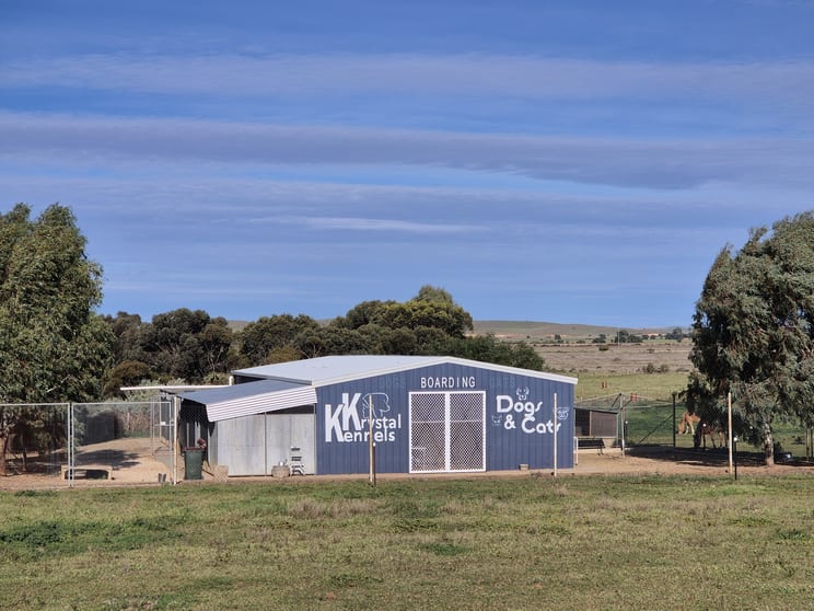 Click to view all images 1260 Beniah Road Yongala SA 5493 - Image 2