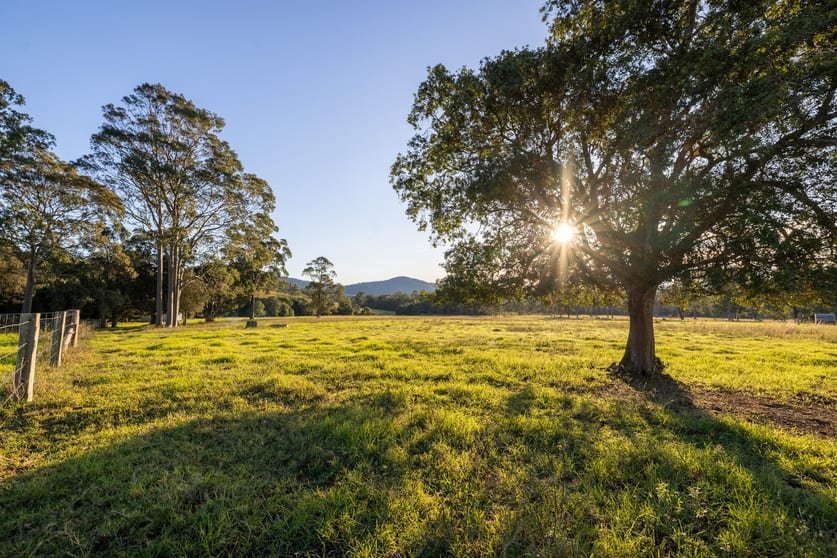 Click to view all images 158 Somerset Road Kimbriki NSW 2429 - Image 1