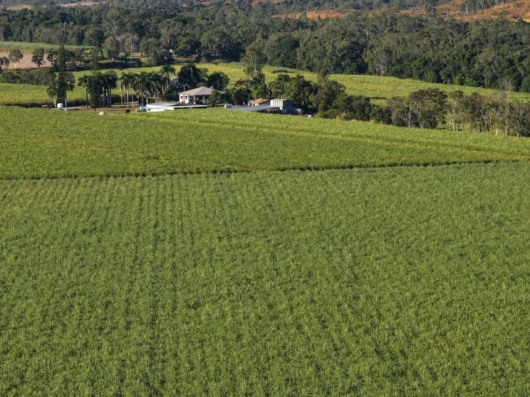 Click to view all images 215 Bloomsbury Back Road Bloomsbury QLD 4799 - Image 3