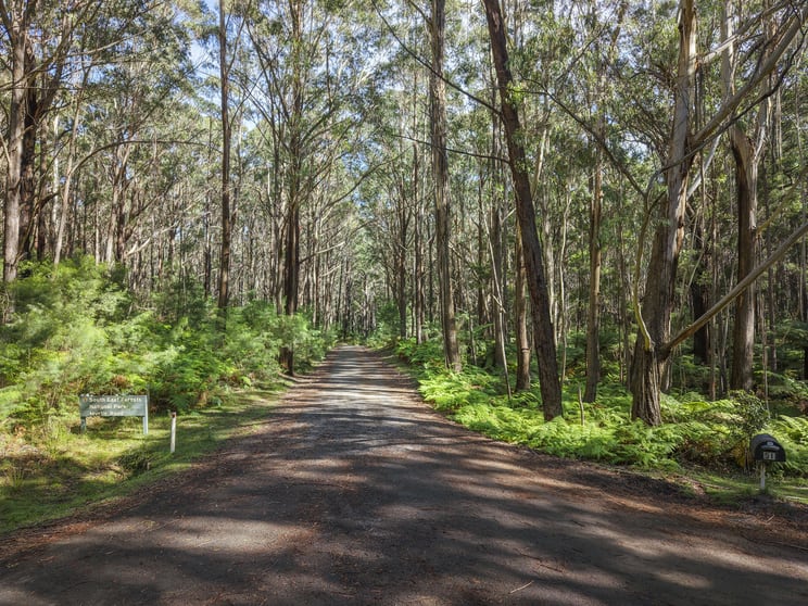 Lot 35 Myrtle Mountain Road Candelo NSW 2550 - Image 3