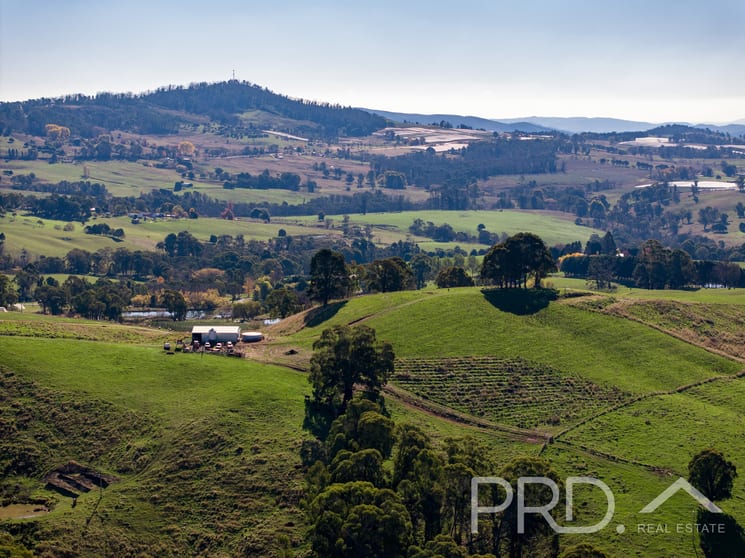 Click to view all images 1-65 Forsters Road Batlow NSW 2730 - Image 2
