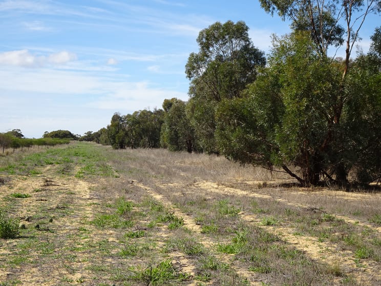 Click to view all images Portion of Launer Road Eganu WA 6515 - Image 3