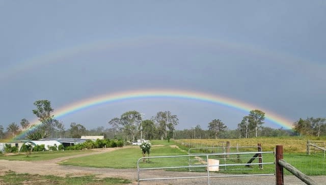 Click to view all images 594 Promisedland Road Promisedland QLD 4660 - Image 1