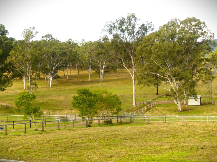 Click to view all images 'Little J Farm' 87 Charlwood Road Boonah QLD 4310 - Image 2