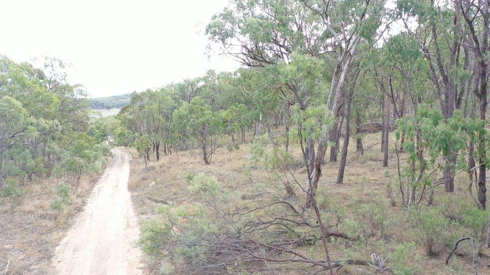 Click to view all images Lot 3 Halls Creek Road Halls Creek NSW 2346 - Image 3