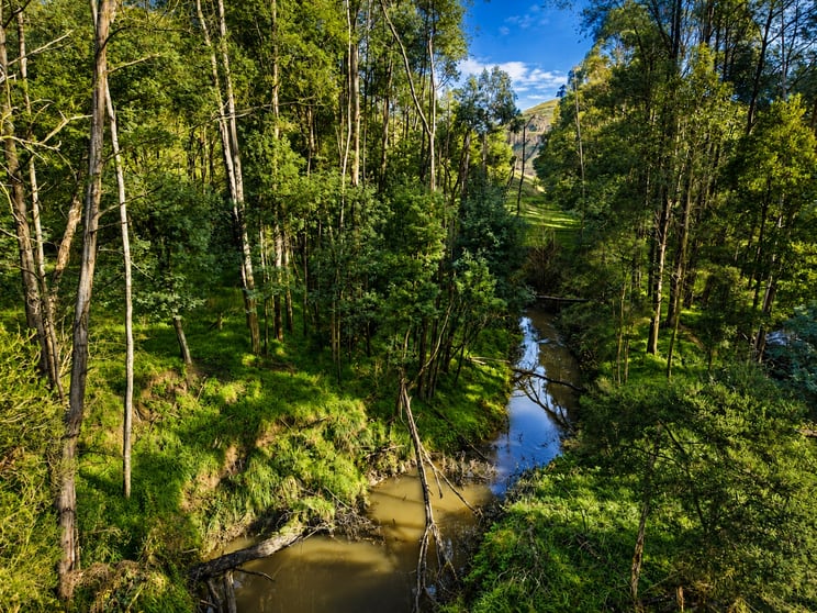 86 McNaughtons Road Wild Dog Valley VIC 3953 - Image 3