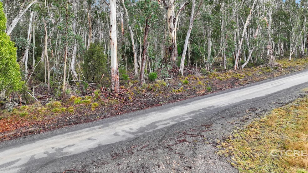 955 Bendoc-Orbost Road Bendoc VIC 3888 - Image 1