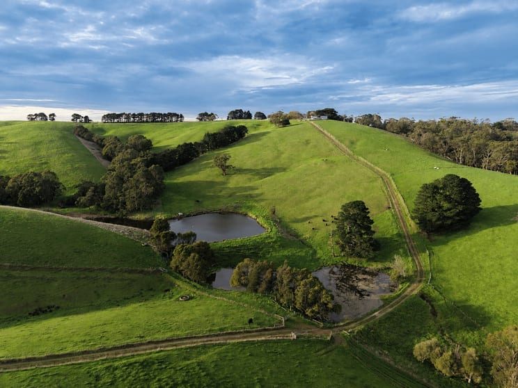255 Buffalo North Road Buffalo VIC 3958 - Image 1