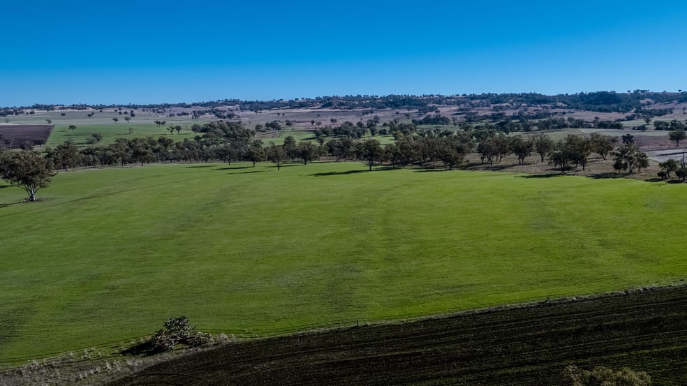 Click to view all images 364 Lecoin Road Delungra Inverell NSW 2360 - Image 3