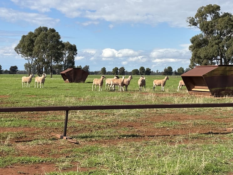 Click to view all images Burley Griffin Way Barellan NSW 2665 - Image 2