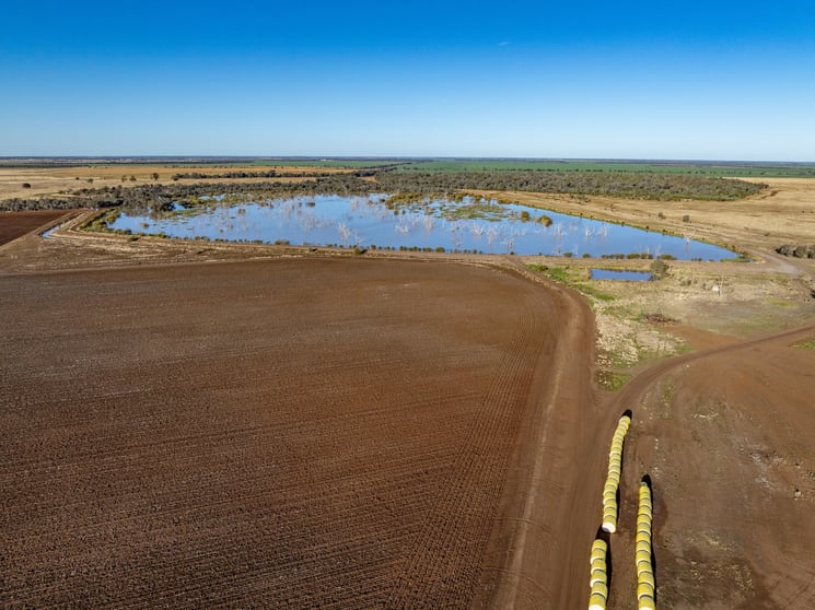 Click to view all images 6210 Carnarvon Highway Thallon QLD 4497 - Image 2