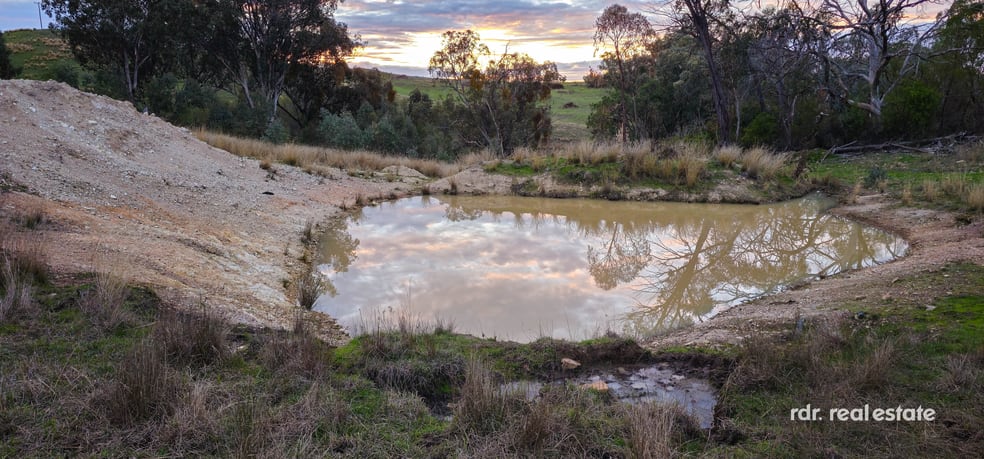 2591 Elsmore Road Inverell NSW 2360 - Image 2