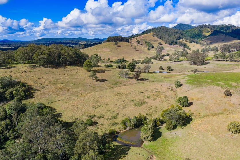 Click to view all images 808 Willina Road Willina NSW 2423 - Image 2