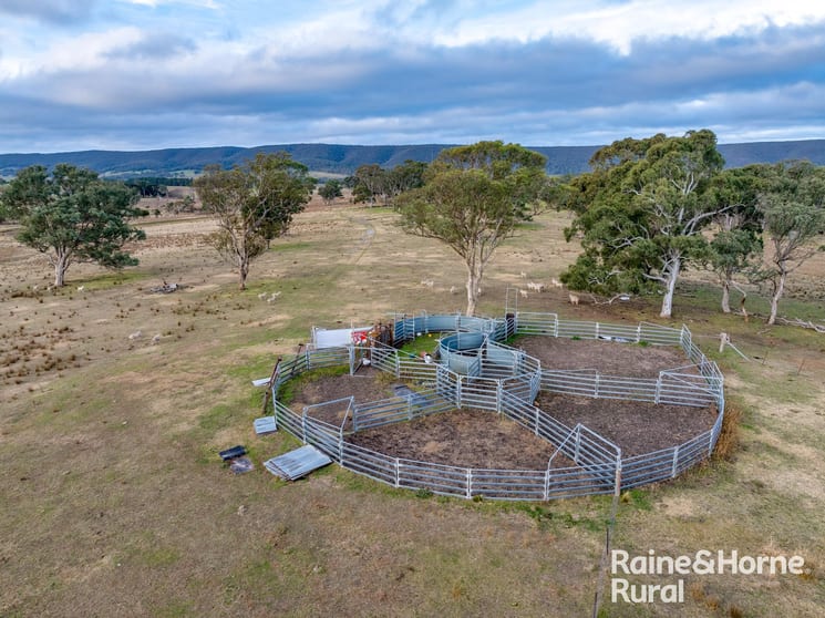 Click to view all images 318 Holloways Road Tarlo NSW 2580 - Image 3