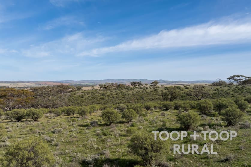 Click to view all images Lot 32 North Hills Road Frankton SA 5374 - Image 2