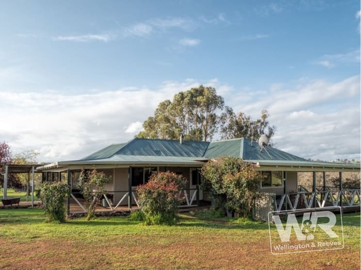 786 Frankland-Kojonup Road Frankland River WA 6396 - Image 1