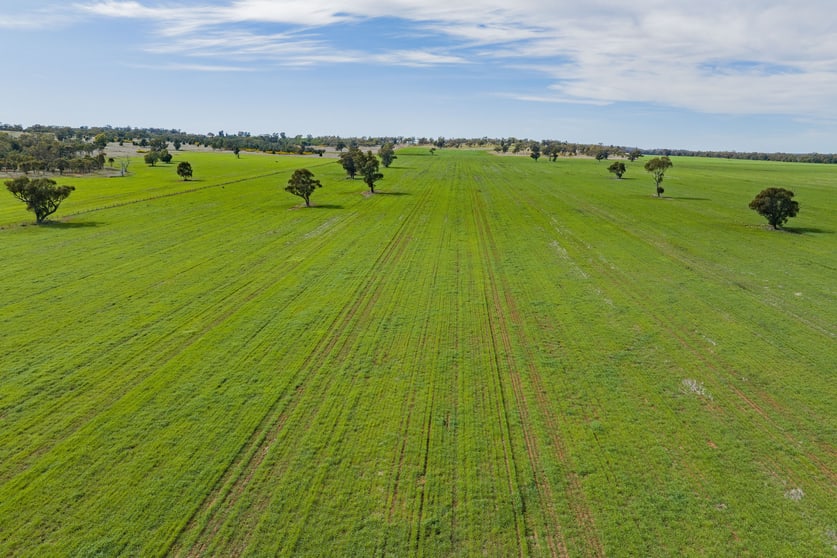 25 Kamarah Road Narrandera NSW 2700 - Image 3