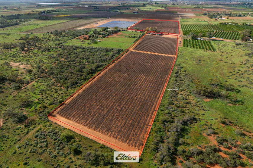 Click to view all images 166 Keenans Drive Coomealla NSW 2717 - Image 1