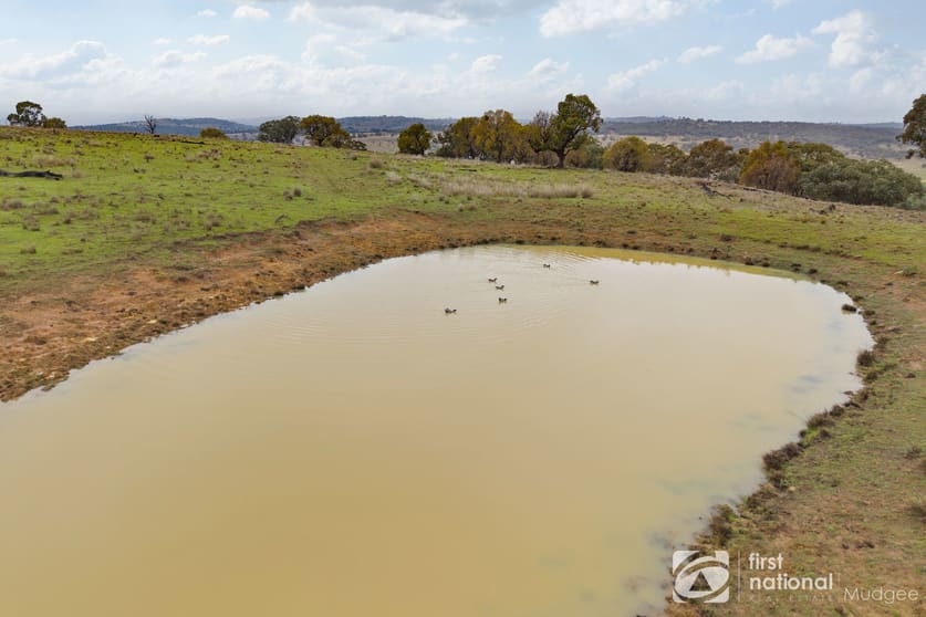 Click to view all images 2779 Black Stump Way Coolah NSW 2843 - Image 2