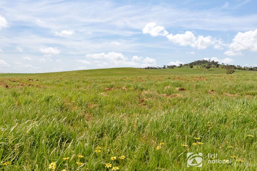 70 Shiraz Drive Gulgong NSW 2852 - Image 2