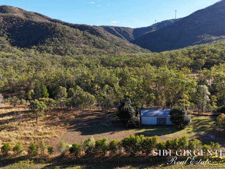 137 Lemontree Drive Mutchilba QLD 4872 - Image 1