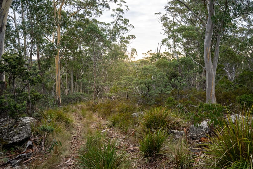 'Hardings Bay Retrea Lake Leake Road Lake Leake TAS 7210 - Image 2
