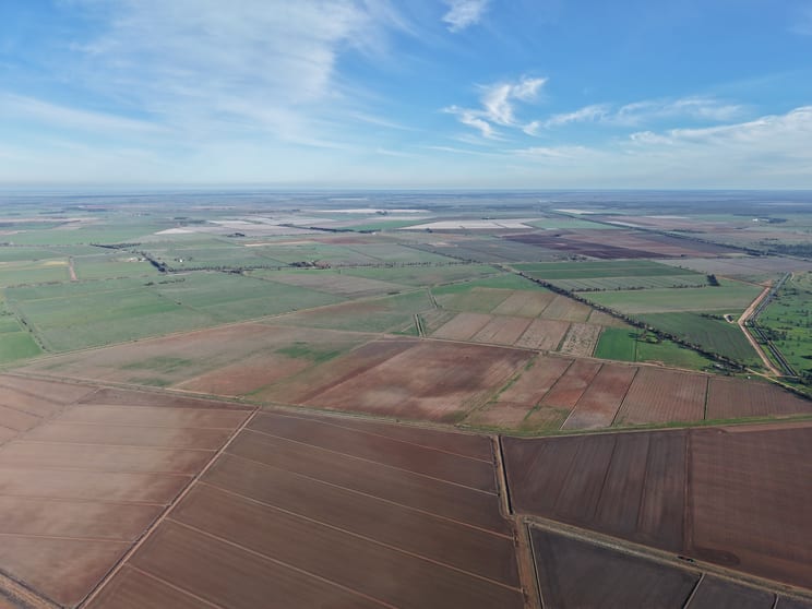 Farm 518 (East) Wood Road Coleambally NSW 2707 - Image 3