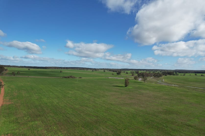 Click to view all images Numalla Road Trundle NSW 2875 - Image 1