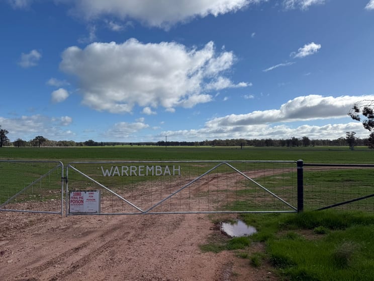 Click to view all images Numalla Road Trundle NSW 2875 - Image 3